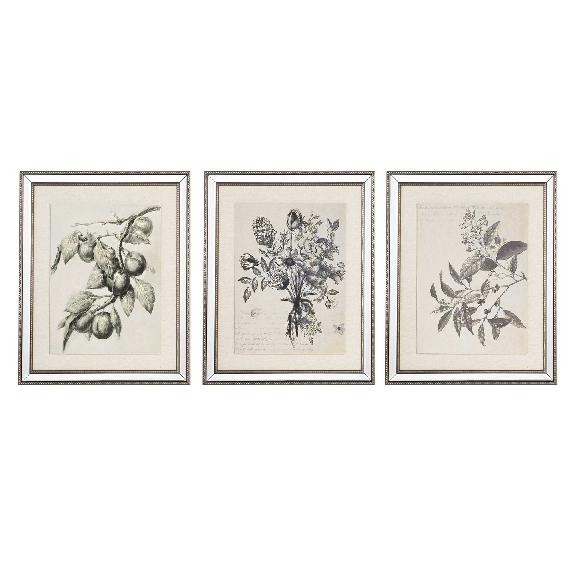 Mindy Brownes Spring Prints 50cm x 60cm (Set Of 3) Mirror Frame - Meubles